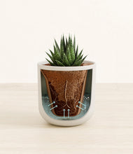 Load image into Gallery viewer, Natural Bamboo stand:all
