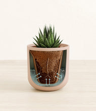 Load image into Gallery viewer, Sandy Pink stand:all
