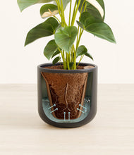 Load image into Gallery viewer, Stone Black stand:all
