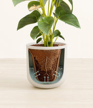 Load image into Gallery viewer, Natural Bamboo stand:all
