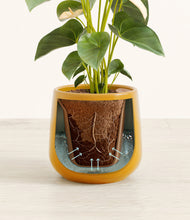 Load image into Gallery viewer, Mustard stand:all
