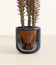 Load image into Gallery viewer, Twilight Blue stand:all
