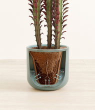 Load image into Gallery viewer, Reactive Aqua stand:all
