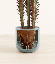 Load image into Gallery viewer, Misty Blue stand:all
