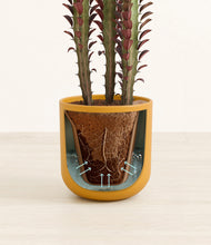 Load image into Gallery viewer, Sunset Orange stand:all
