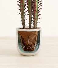 Load image into Gallery viewer, Natural Bamboo stand:all
