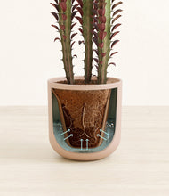 Load image into Gallery viewer, Sandy Pink stand:all
