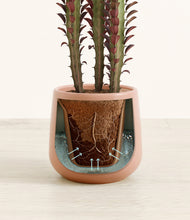 Load image into Gallery viewer, Calm Rose stand:all
