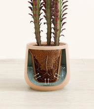 Load image into Gallery viewer, Gentle Pink stand:all
