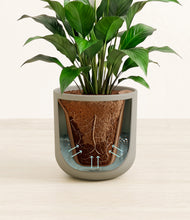 Load image into Gallery viewer, Sage Green stand:all

