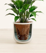 Load image into Gallery viewer, Natural Bamboo stand:all

