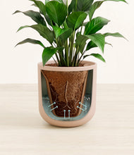 Load image into Gallery viewer, Sandy Pink stand:all
