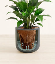 Load image into Gallery viewer, Iron Gray stand:all
