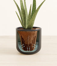 Load image into Gallery viewer, Stone Black stand:all
