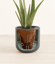 Load image into Gallery viewer, Iron Gray stand:all
