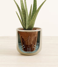 Load image into Gallery viewer, Sage Green stand:all
