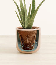 Load image into Gallery viewer, Glossy Pink stand:all
