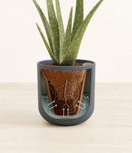 Load image into Gallery viewer, Iron Gray stand:all
