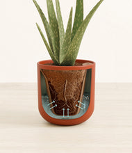 Load image into Gallery viewer, Earth Red stand:all
