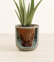 Load image into Gallery viewer, Sage Green stand:all
