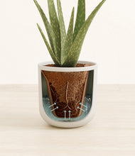 Load image into Gallery viewer, Natural Bamboo stand:all
