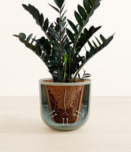 Load image into Gallery viewer, Sage Green stand:all
