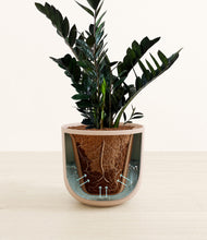 Load image into Gallery viewer, Sandy Pink stand:all

