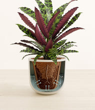 Load image into Gallery viewer, Natural Bamboo stand:all
