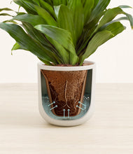 Load image into Gallery viewer, Natural Bamboo stand:all
