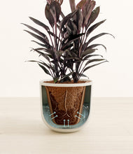 Load image into Gallery viewer, Natural Bamboo stand:all
