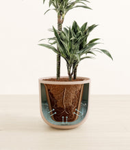 Load image into Gallery viewer, Sandy Pink stand:all
