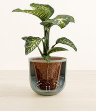 Load image into Gallery viewer, Sage Green stand:all

