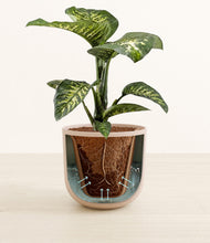 Load image into Gallery viewer, Sandy Pink stand:all
