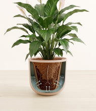 Load image into Gallery viewer, Sandy Pink stand:all
