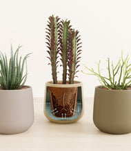 Load image into Gallery viewer, Woodland stand:all
