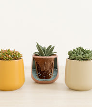 Load image into Gallery viewer, Evening Sky stand:all
