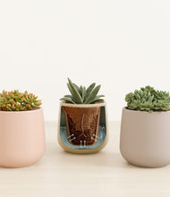 Load image into Gallery viewer, Sandy stand:all
