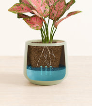 Load image into Gallery viewer, Turquoise
