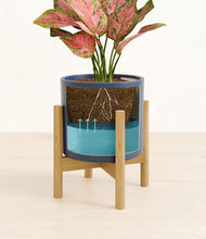 Load image into Gallery viewer, Deep Navy stand:bamboo
