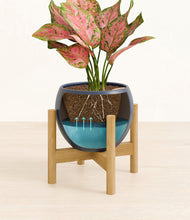 Load image into Gallery viewer, Deep Navy stand:bamboo
