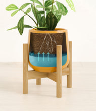 Load image into Gallery viewer, Mustard stand:bamboo
