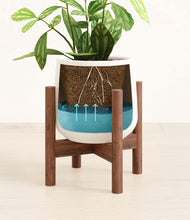 Load image into Gallery viewer, White stand:walnut
