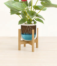 Load image into Gallery viewer, Cotton White stand:bamboo
