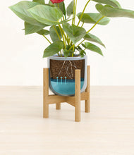 Load image into Gallery viewer, Misty Blue stand:bamboo
