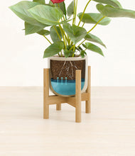 Load image into Gallery viewer, Sage Green stand:bamboo
