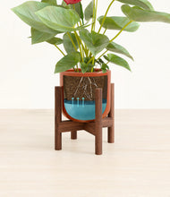 Load image into Gallery viewer, Glossy Red stand:walnut
