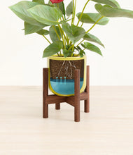 Load image into Gallery viewer, Key Lime Yellow stand:walnut
