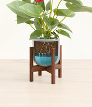 Load image into Gallery viewer, Misty Blue stand:walnut
