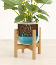 Load image into Gallery viewer, Hammered Ivory stand:bamboo
