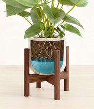 Load image into Gallery viewer, Snowdrift White stand:walnut

